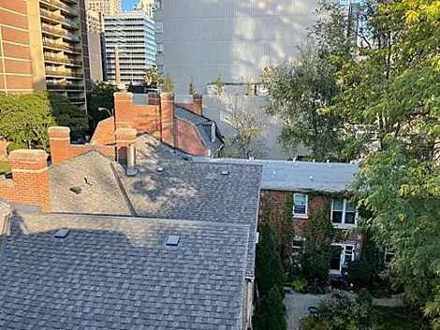 Chimney repair toronto specialists — Toronto